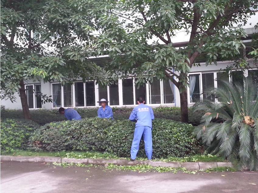 廠區(qū)綠化養(yǎng)護